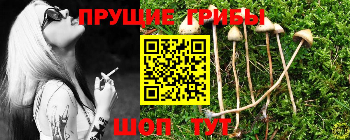 Галлюциногенные грибы ЛСД Южноуральск