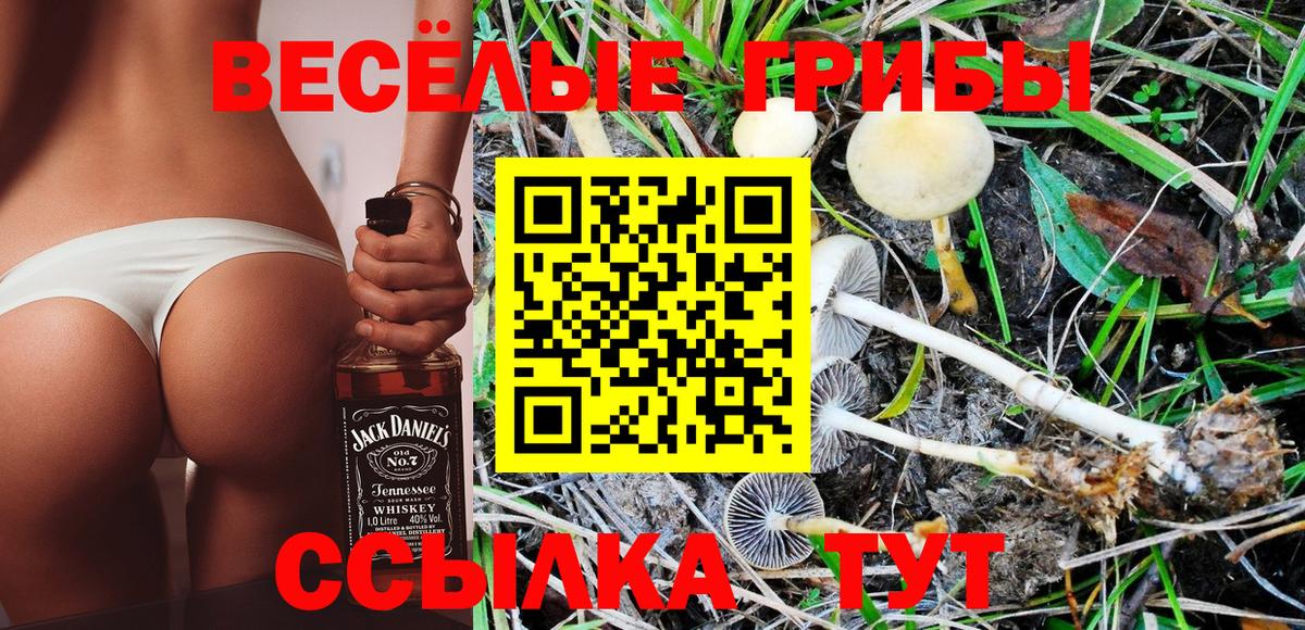 Южноуральск  Псилоцибиновые грибы Psilocybe  Вход с VPN 